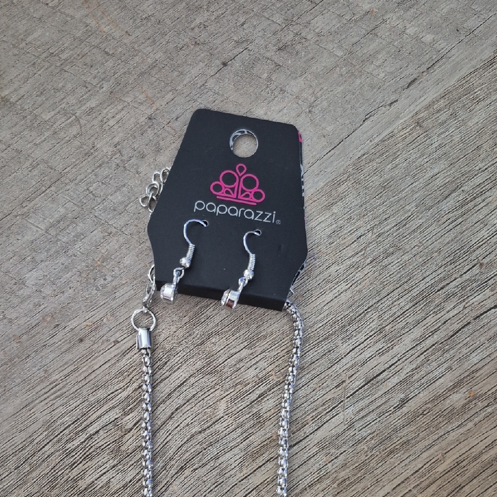Paparazzi Silver Tone Necklace and Earring Set